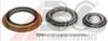 CHRYS 3683975 Wheel Bearing Kit